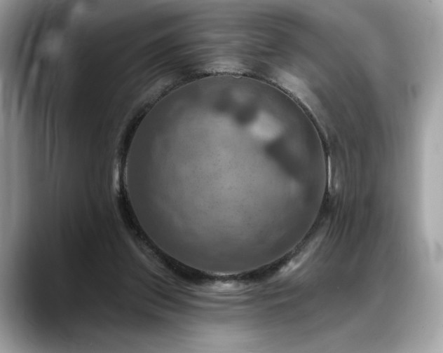 X0000088750157200705311518