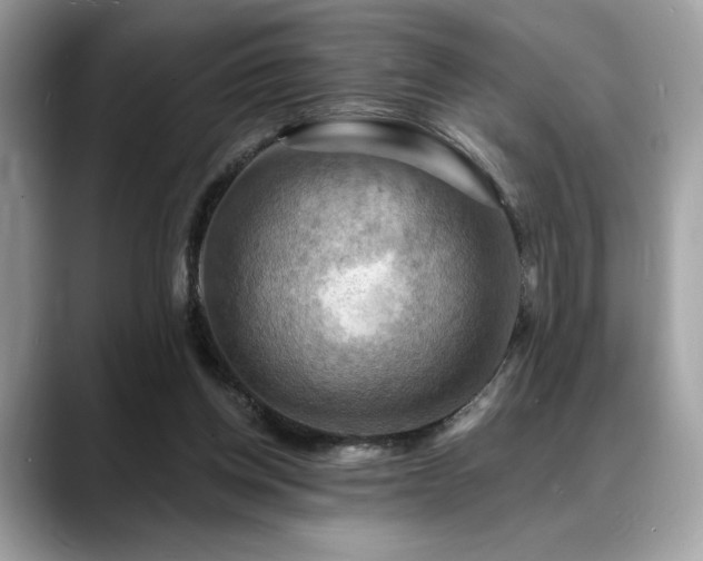 X0000088750158200705311518