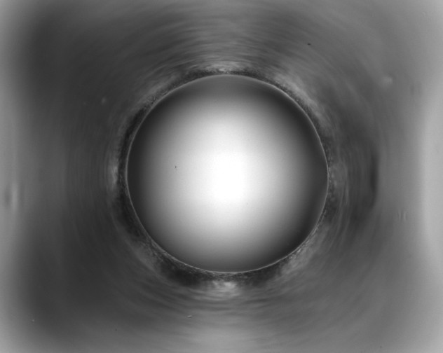 X0000088750159200705311518