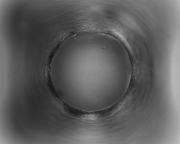 X0000088750161200705311518