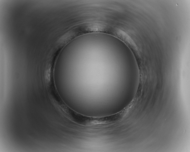 X0000088750163200705311518