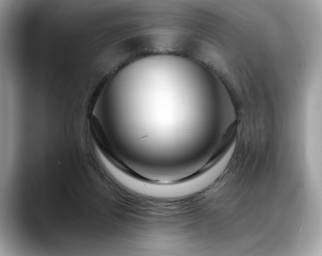 X0000088750164200705311518
