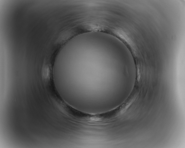 X0000088750165200705311518