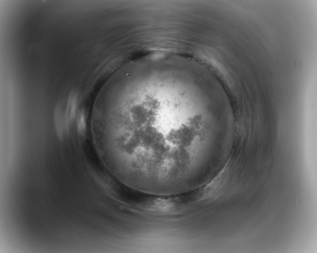 X0000088750166200705311518