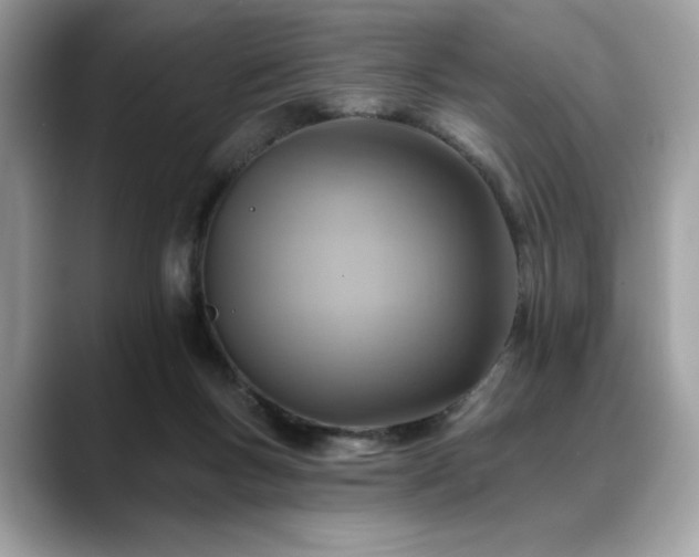 X0000088750167200705311518