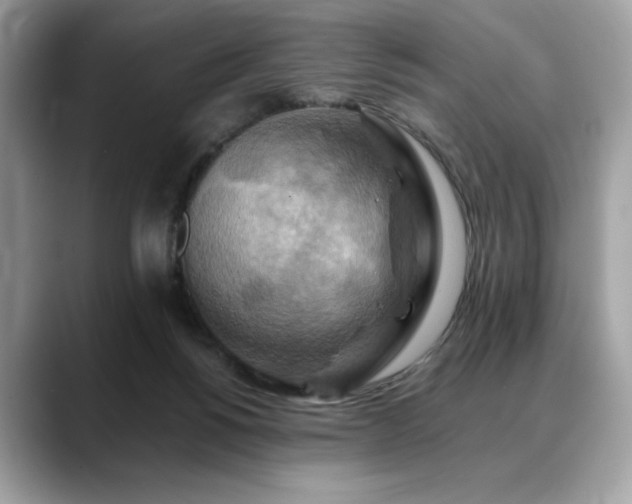 X0000088750168200705311518