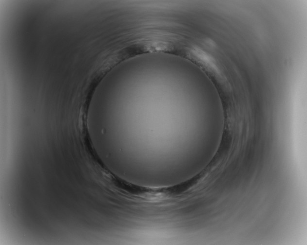 X0000088750169200705311518