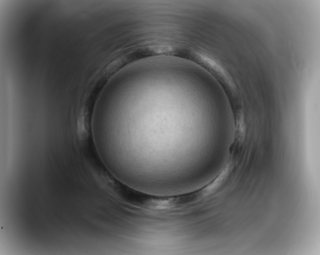 X0000088750170200705311518