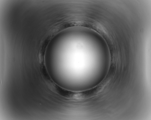 X0000088750173200705311518