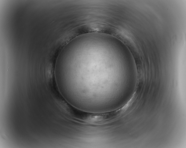 X0000088750174200705311518