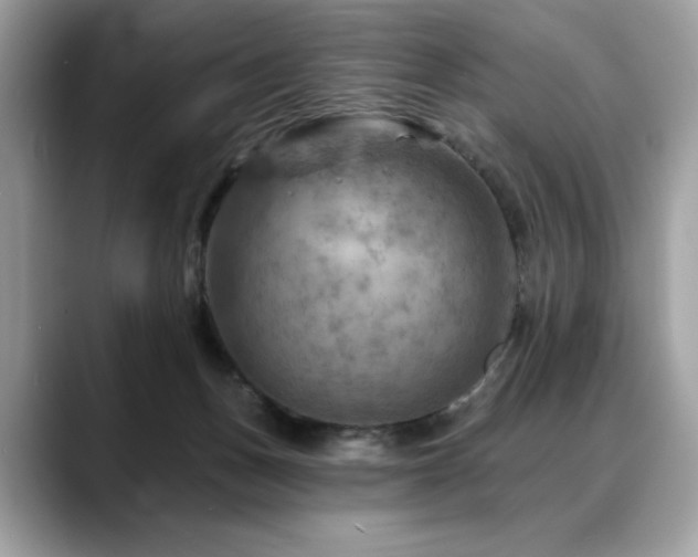 X0000088750175200705311518