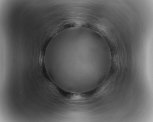 X0000088750177200705311518