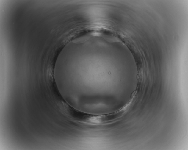 X0000088750178200705311518