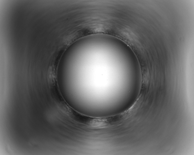 X0000088750179200705311519
