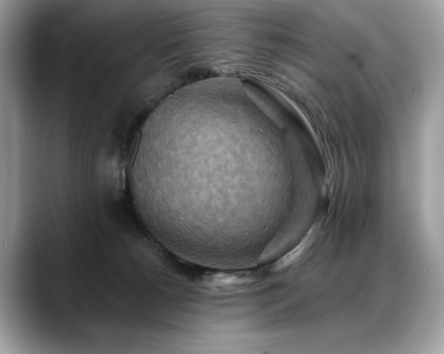 X0000088750180200705311519