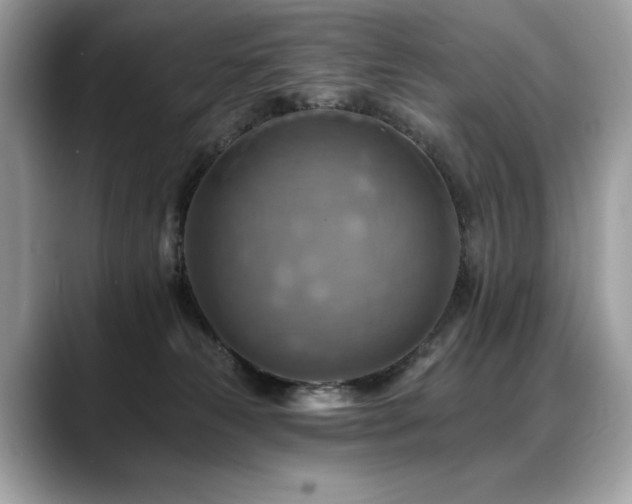 X0000088750181200705311519