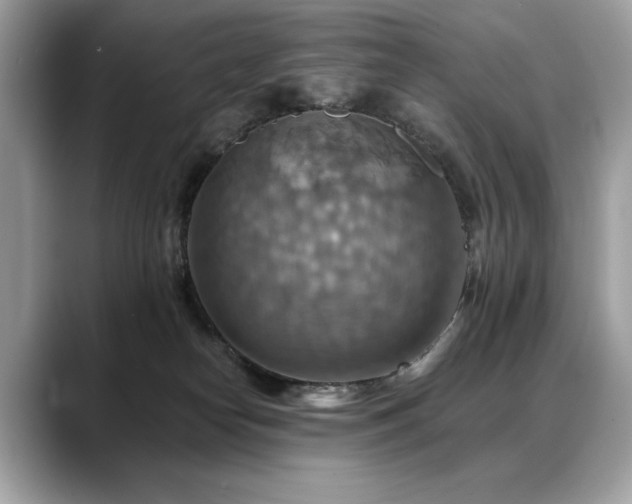 X0000088750182200705311519