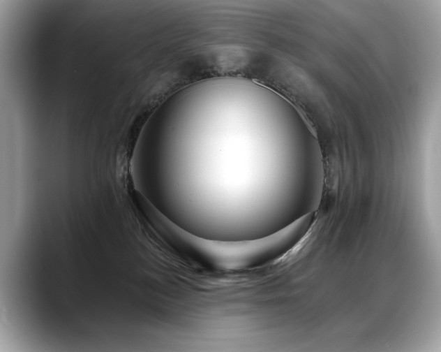 X0000088750184200705311519