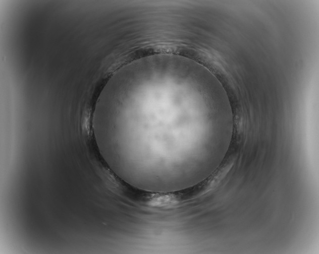 X0000088750185200705311519