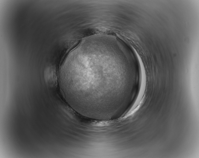 X0000088750186200705311519