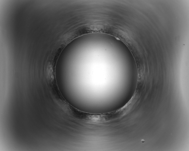 X0000088750187200705311519