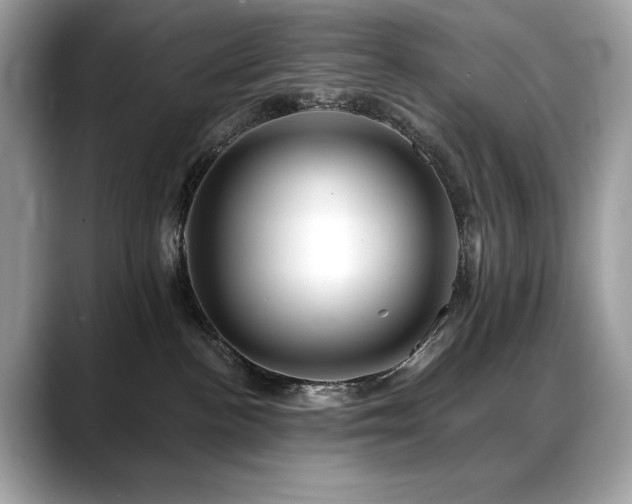 X0000088750188200705311519
