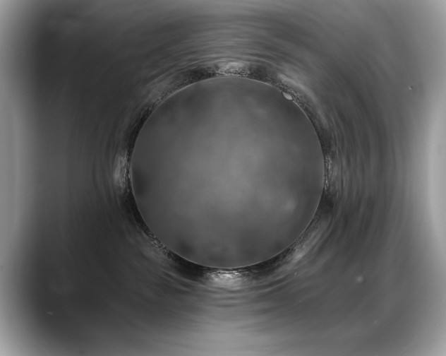 X0000088750189200705311519