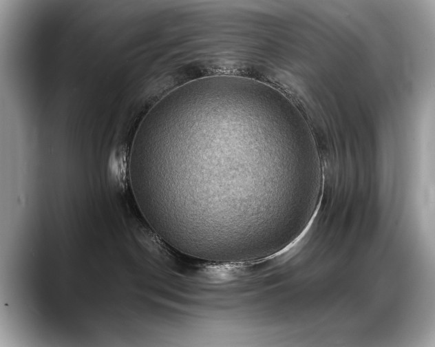X0000088750190200705311519