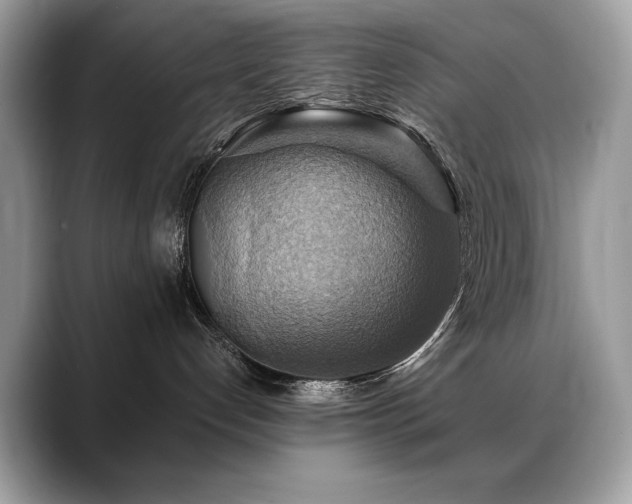 X0000088750192200705311519