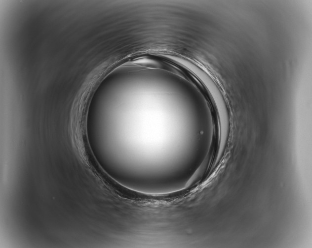 X0000088750193200705311518