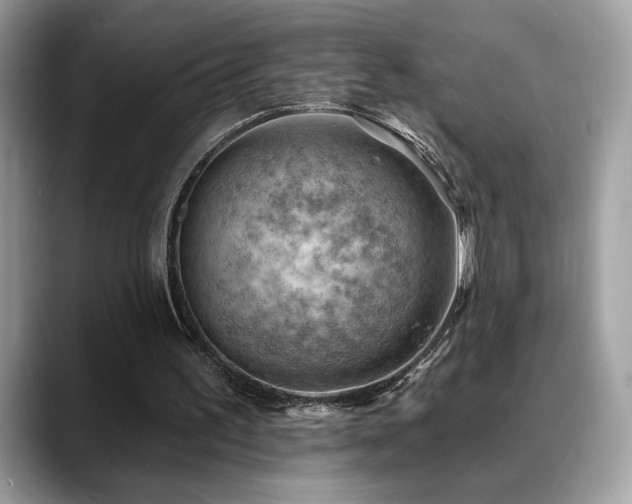 X0000088750195200705311518