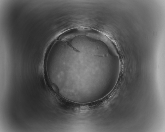 X0000088750196200705311518
