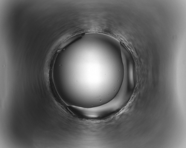 X0000088750197200705311518
