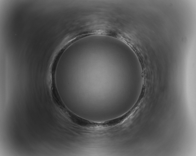 X0000088750198200705311518