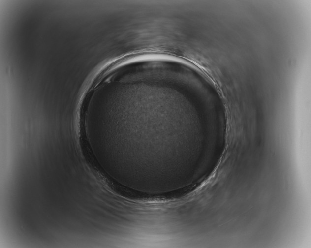 X0000088750200200705311518