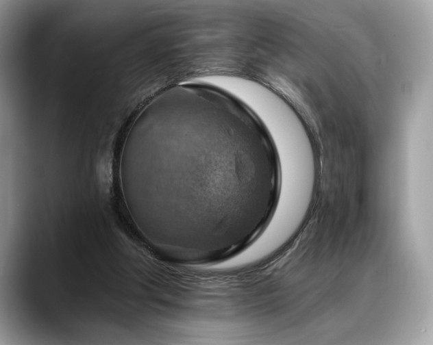 X0000088750202200705311518