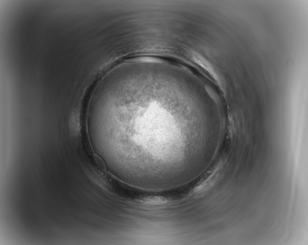 X0000088750203200705311518