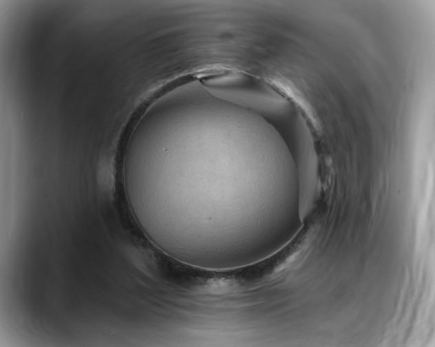 X0000088750204200705311518