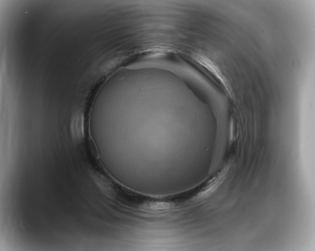 X0000088750205200705311518