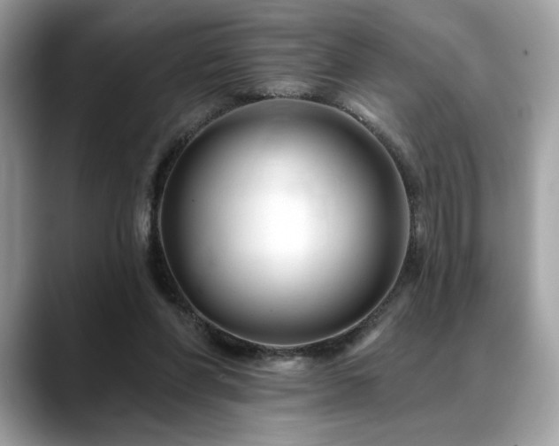 X0000088750206200705311518