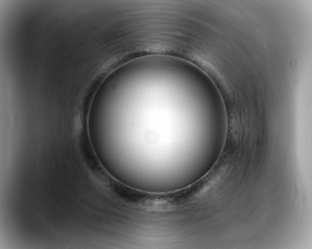 X0000088750208200705311518