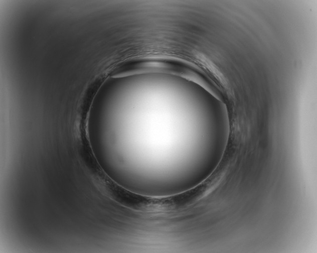 X0000088750209200705311518