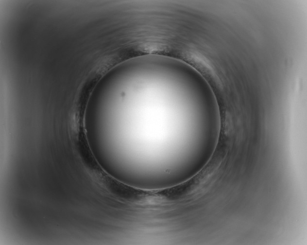 X0000088750210200705311518