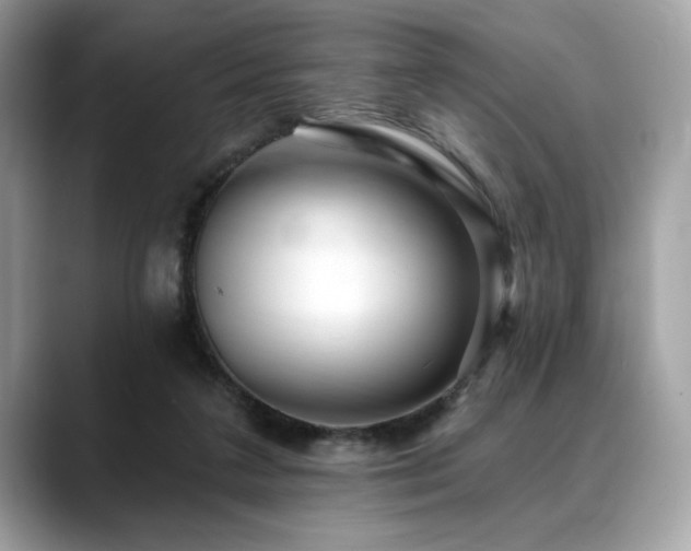X0000088750211200705311518