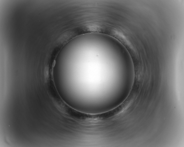 X0000088750213200705311518