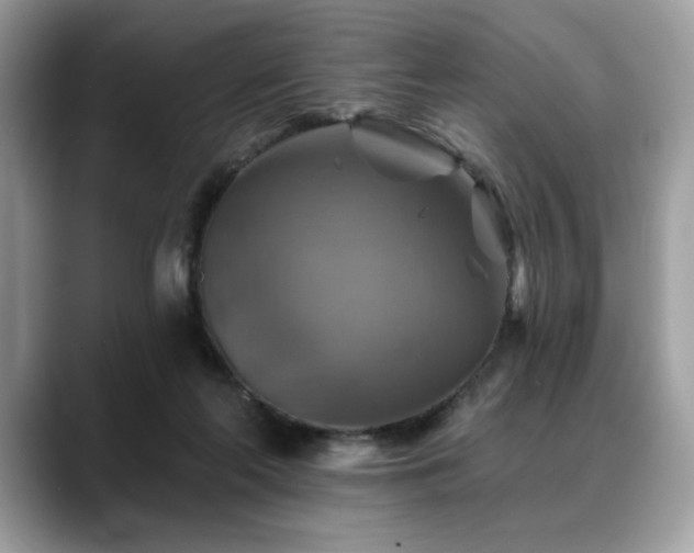 X0000088750214200705311518