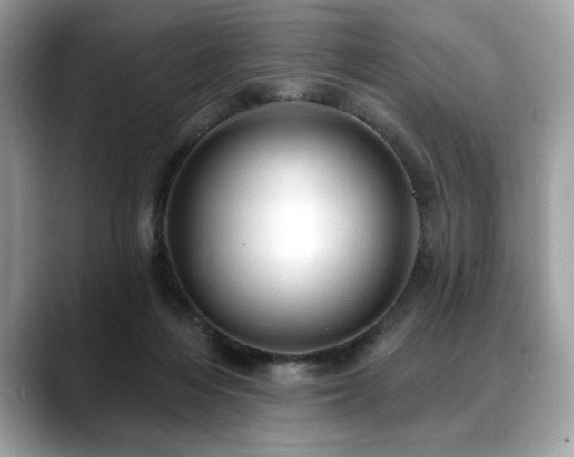 X0000088750216200705311518