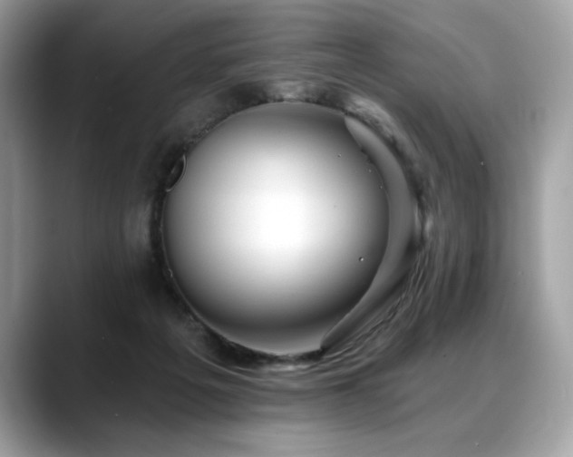 X0000088750217200705311518