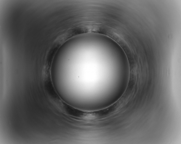 X0000088750218200705311518