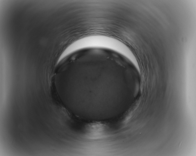 X0000088750219200705311518